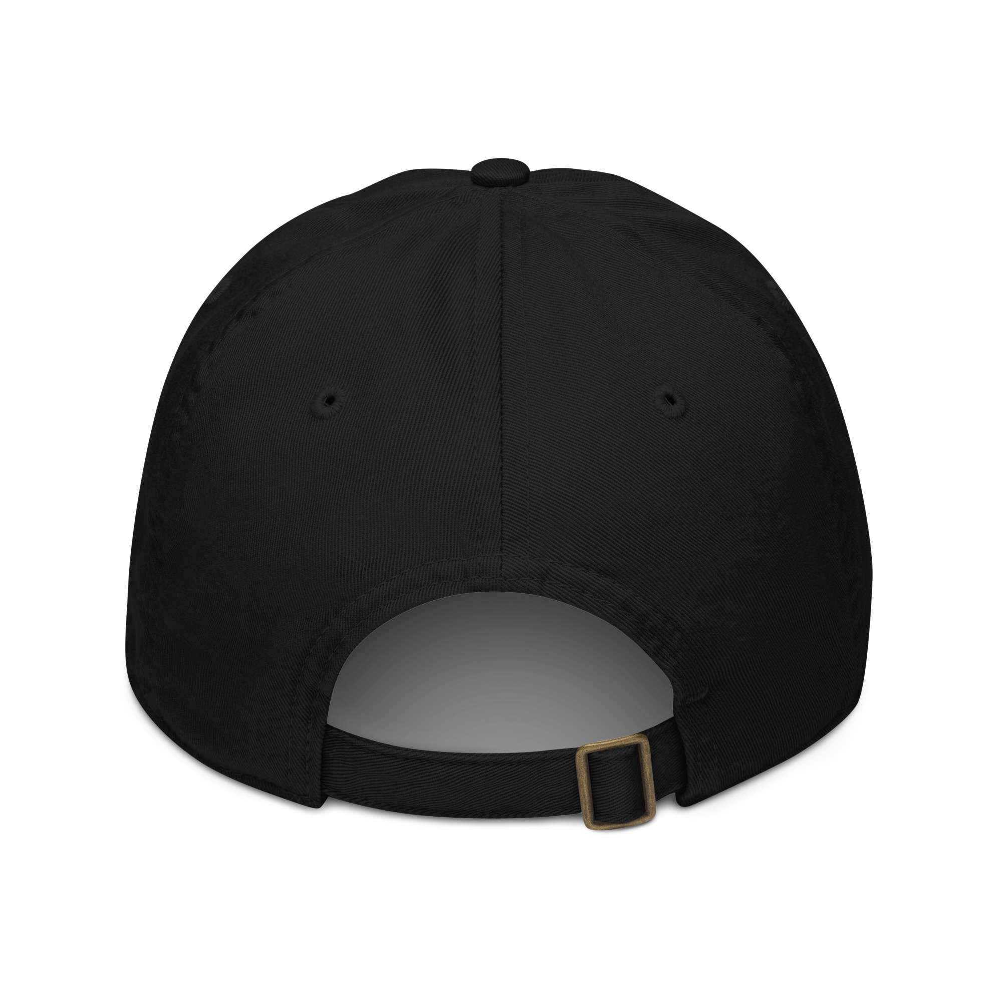 organic-baseball-cap-black-back-660a91d586e91.jpg
